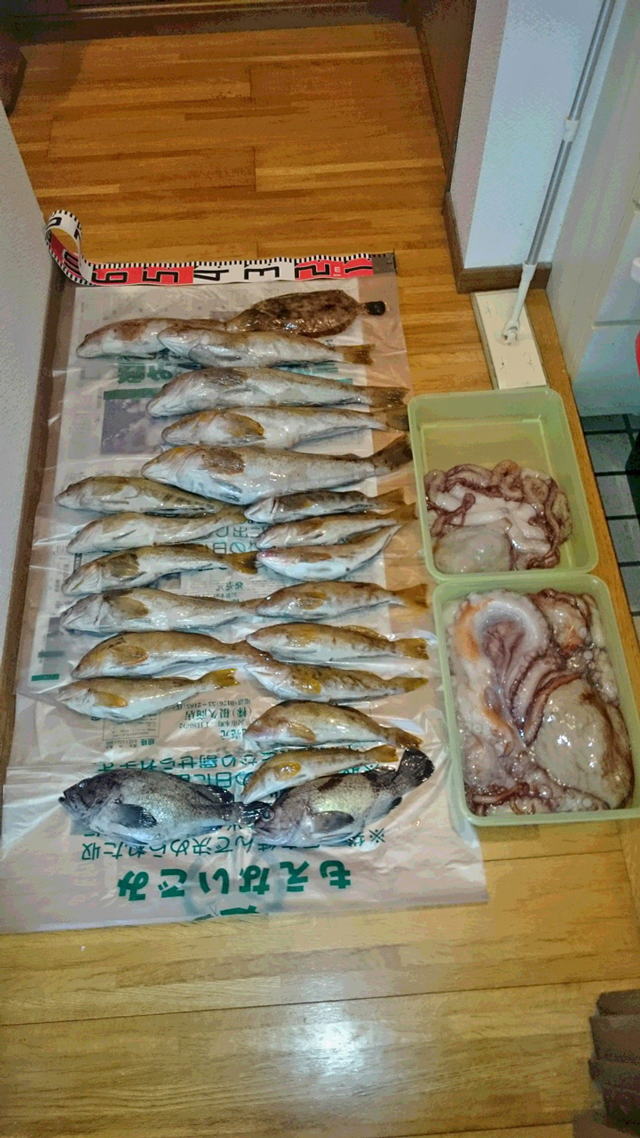 tNXPމ